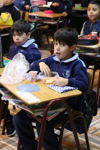 Día de la Actividad Física